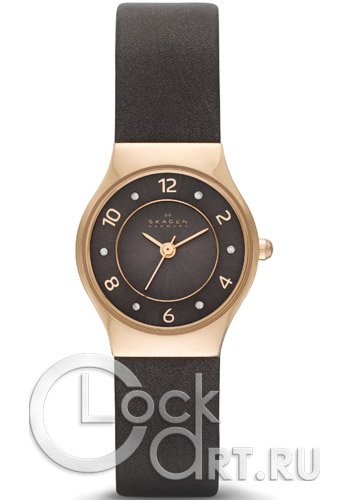 Женские наручные часы Skagen Leather Classic SKW2208