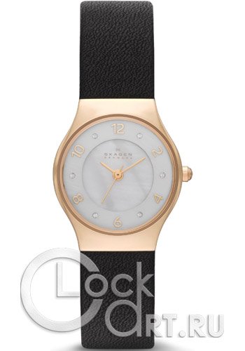 Женские наручные часы Skagen Leather Classic SKW2209