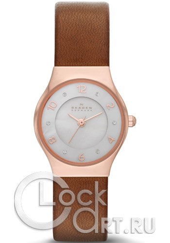 Женские наручные часы Skagen Leather Classic SKW2210