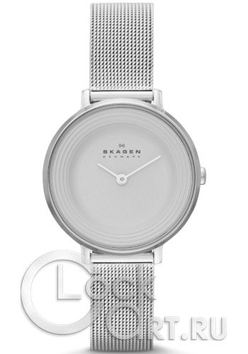 Женские наручные часы Skagen Mesh Classic SKW2211