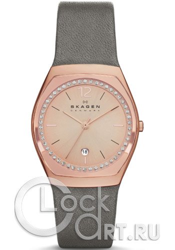 Женские наручные часы Skagen Leather Classic SKW2259