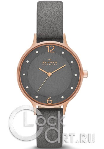 Женские наручные часы Skagen Anita SKW2267