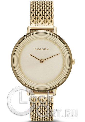 Женские наручные часы Skagen Ditte SKW2333