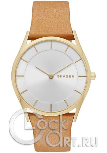 Женские наручные часы Skagen Holst SKW2344