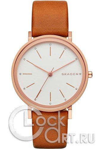 Женские наручные часы Skagen Hald SKW2488