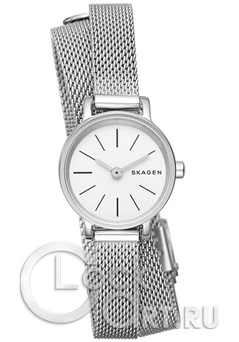 Женские наручные часы Skagen Hagen SKW2601