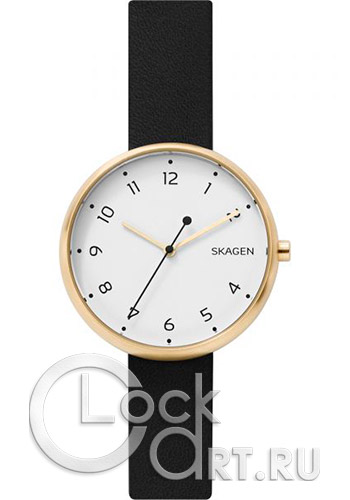 Женские наручные часы Skagen Signatur SKW2626
