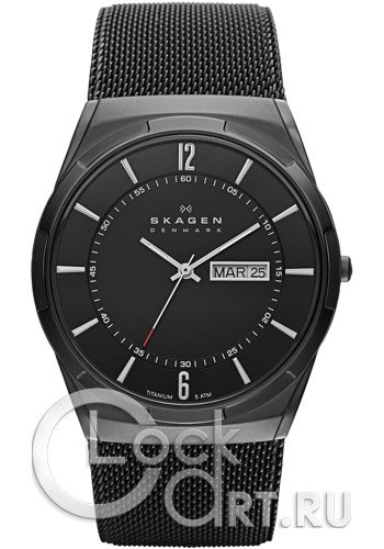Мужские наручные часы Skagen Mesh Titanium SKW6006