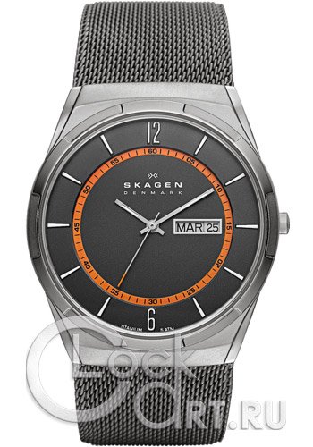 Мужские наручные часы Skagen Mesh Titanium SKW6007