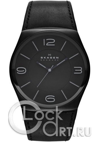 Мужские наручные часы Skagen Leather Classic SKW6043