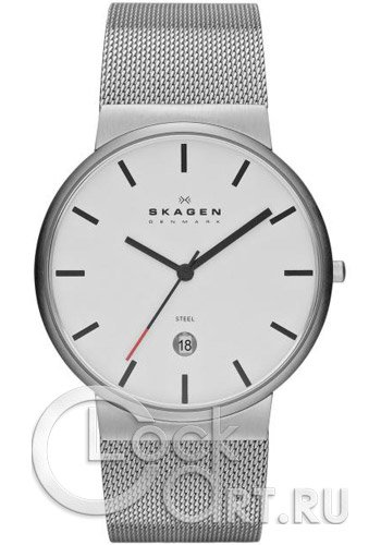 Мужские наручные часы Skagen Mesh Classic SKW6052