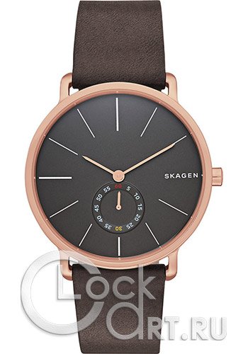 Мужские наручные часы Skagen Hagen SKW6213