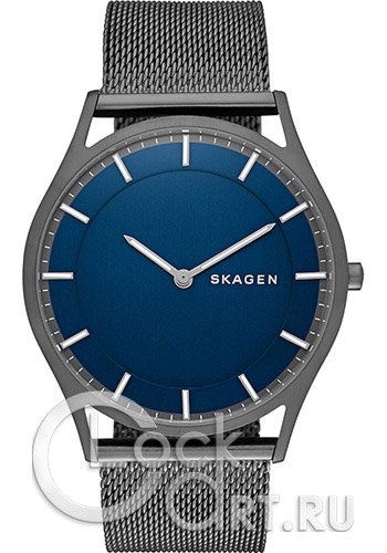 Мужские наручные часы Skagen Holst SKW6223