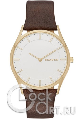 Мужские наручные часы Skagen Holst SKW6225
