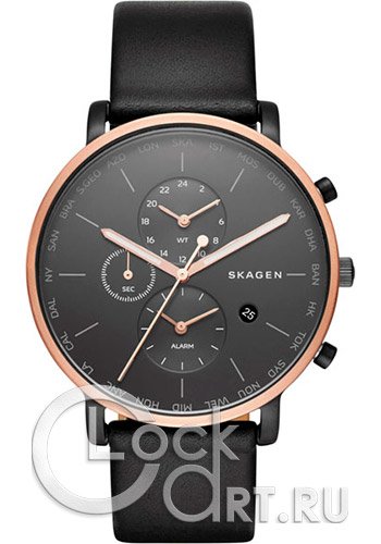Мужские наручные часы Skagen Hagen SKW6300