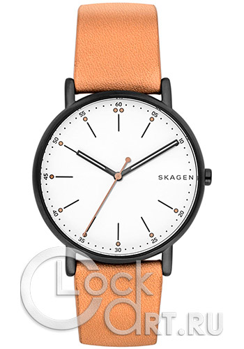 Мужские наручные часы Skagen Signatur SKW6352