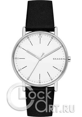 Мужские наручные часы Skagen Signatur SKW6353