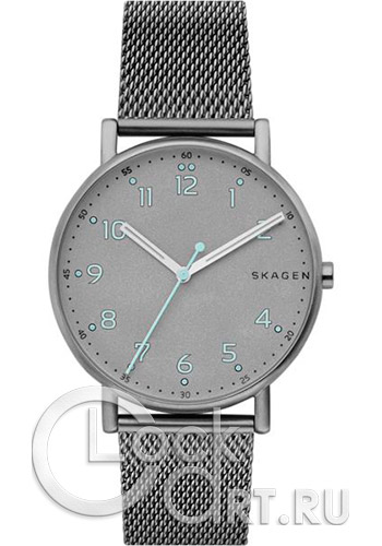 Мужские наручные часы Skagen Signatur SKW6354
