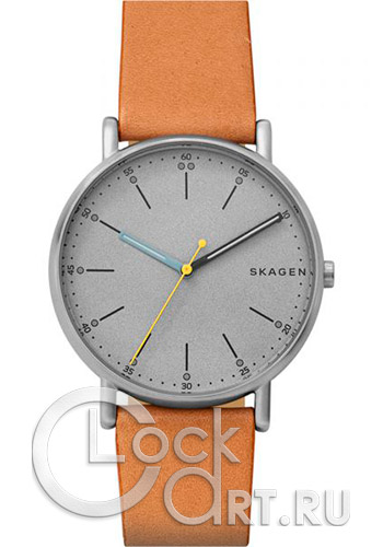 Мужские наручные часы Skagen Signatur SKW6373