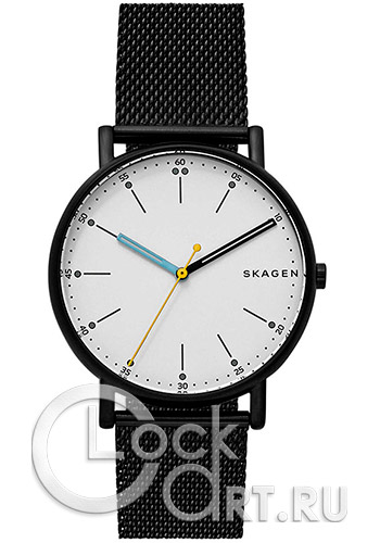 Мужские наручные часы Skagen Signatur SKW6376