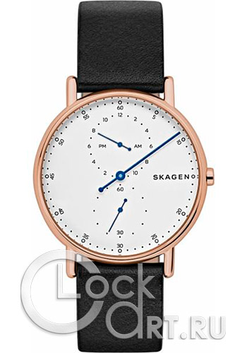 Мужские наручные часы Skagen Signatur SKW6390