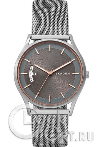 Мужские наручные часы Skagen Holst SKW6396