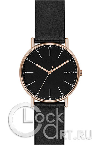 Мужские наручные часы Skagen Signatur SKW6401