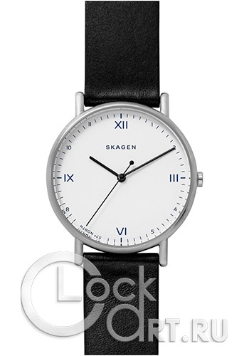 Мужские наручные часы Skagen Signatur SKW6412
