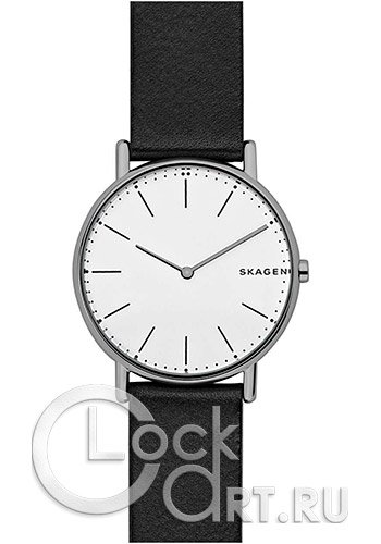 Мужские наручные часы Skagen Signatur SKW6419