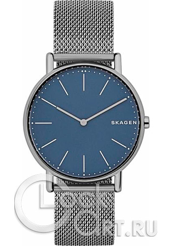 Мужские наручные часы Skagen Signatur SKW6420
