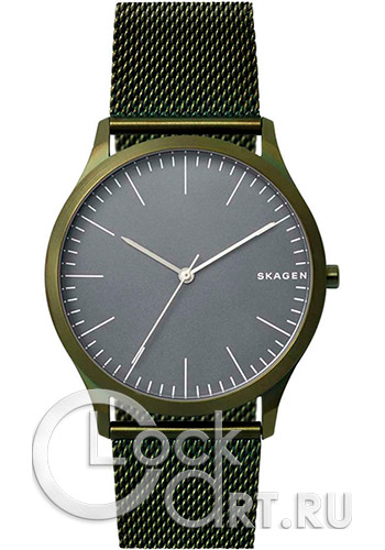 Мужские наручные часы Skagen Jorn SKW6425