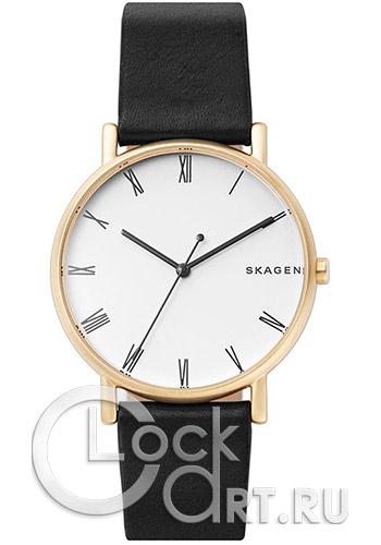 Мужские наручные часы Skagen Signatur SKW6426
