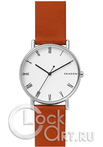 Мужские наручные часы Skagen Signatur SKW6427