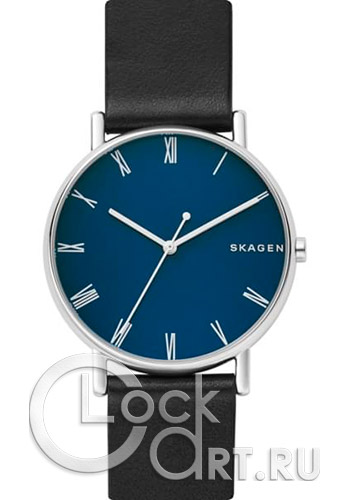 Мужские наручные часы Skagen Signatur SKW6434