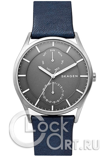 Мужские наручные часы Skagen Holst SKW6448