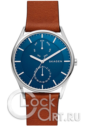 Мужские наручные часы Skagen Holst SKW6449